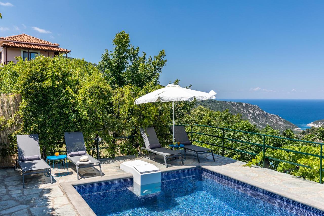 Villa Margini, Aegean Views , Pool Villa, Skopelos エクステリア 写真